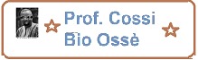 cossi-bio-osse3_thumb.jpg